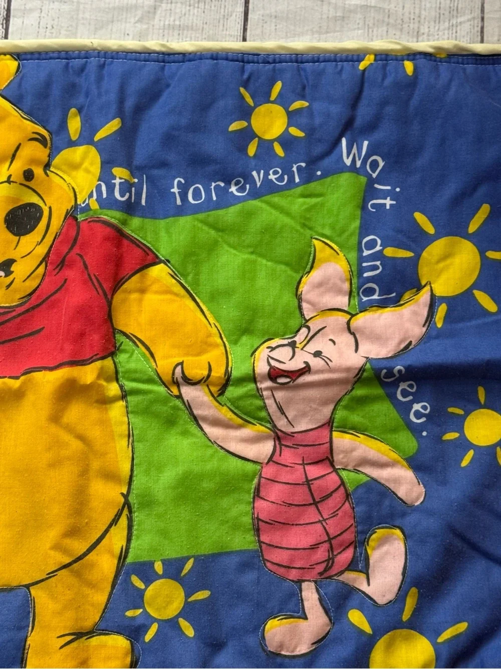 Vintage Disney Winnie the Pooh + Piglet zipper pillow case